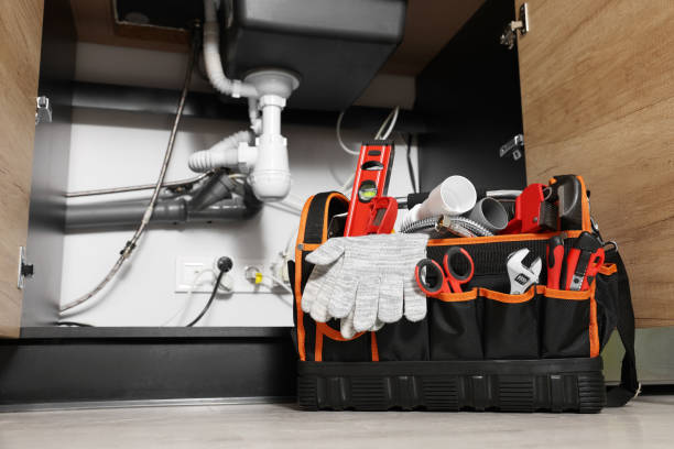 Best Water Softener Installation  in Inesville, GA