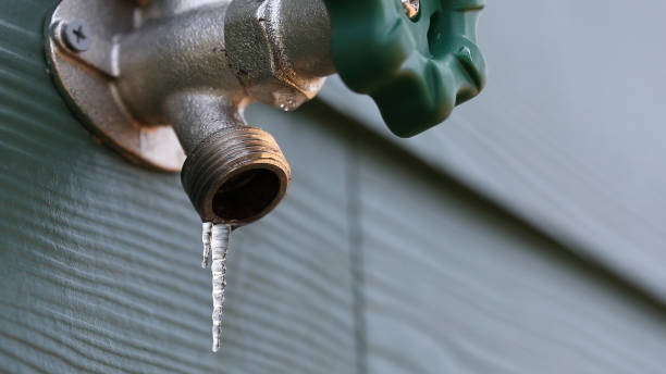 Best Shower Repair Services  in Inesville, GA