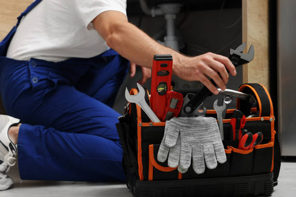 Best Local Plumber Services  in Inesville, GA