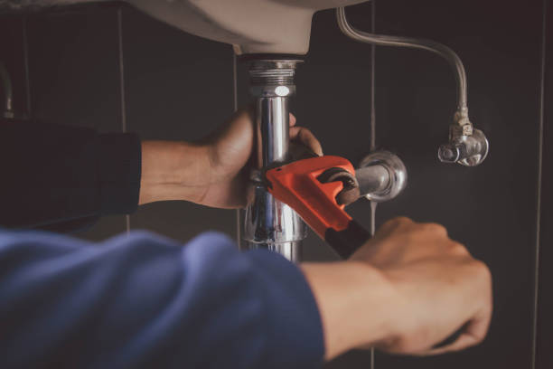 Best Local Plumber Services  in Inesville, GA