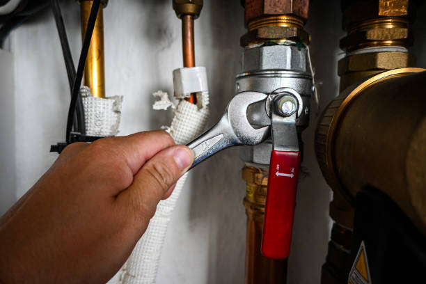 Best Emergency Plumber  in Inesville, GA